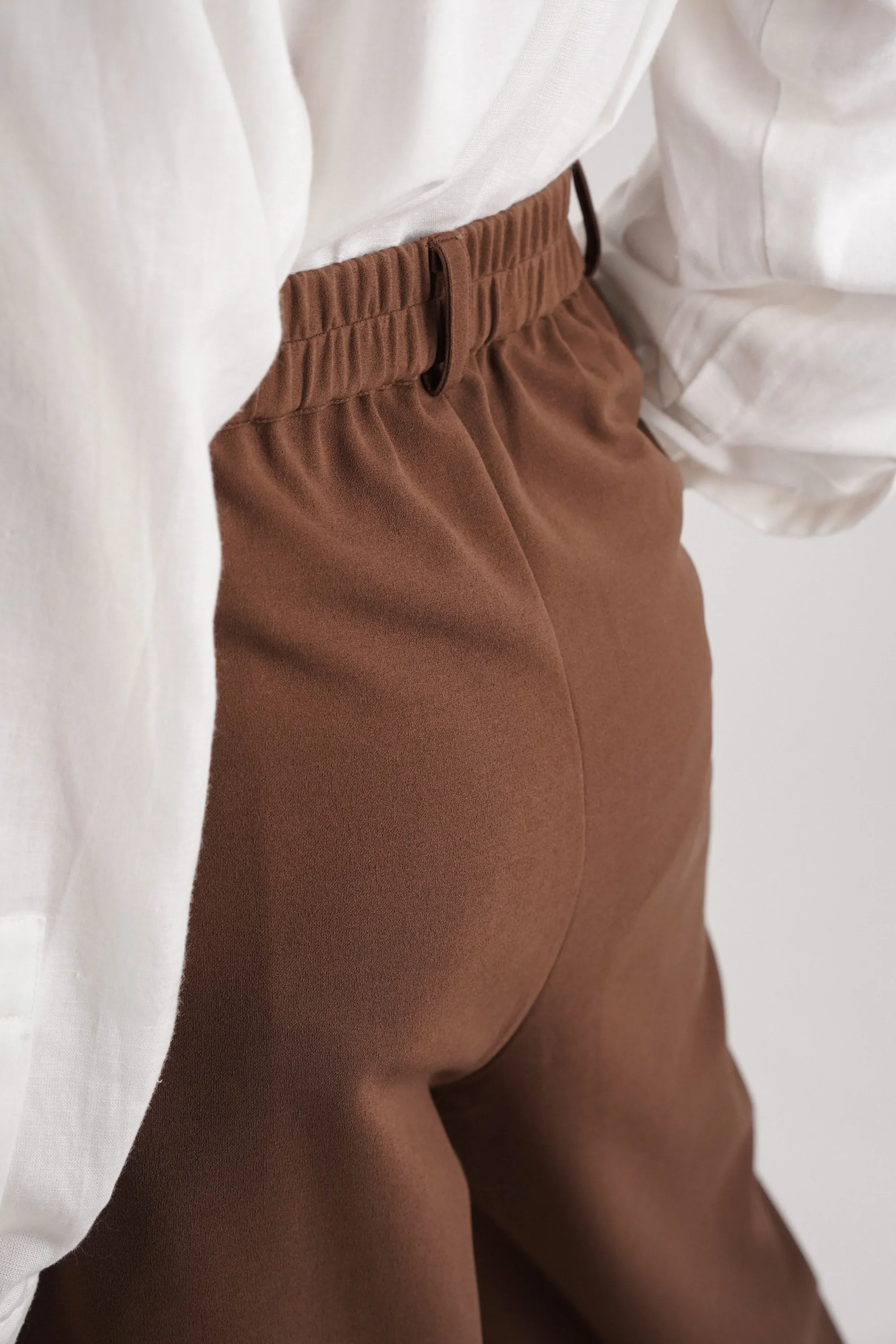 Brown Pants with Inverted Pleats