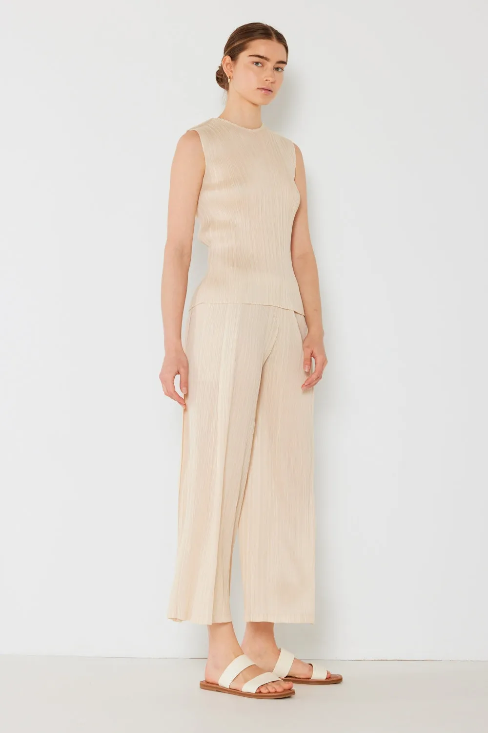 Pleated Wide-Leg Pants with Side Pleat Detail