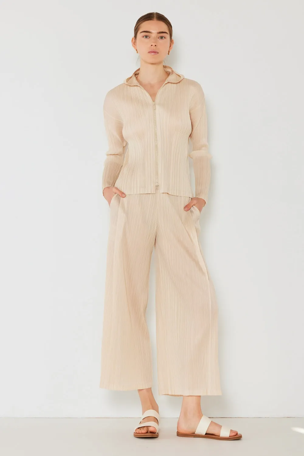 Pleated Wide-Leg Pants with Side Pleat Detail